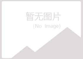 河池冰烟能源有限公司